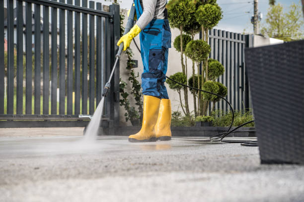 Professional Pressure Washing Services in Harleigh, PA